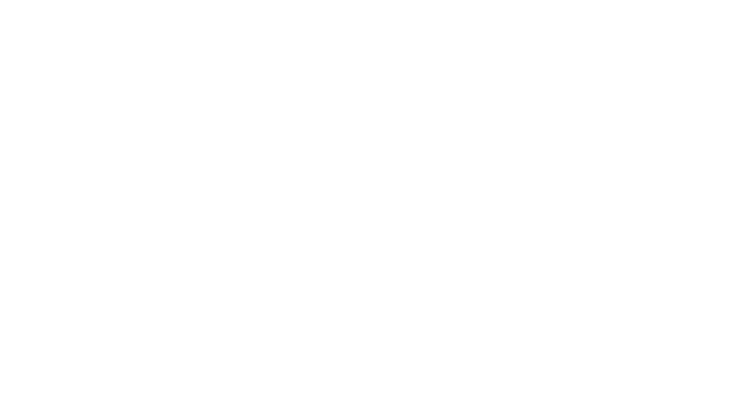 SOARING IN SPACE.