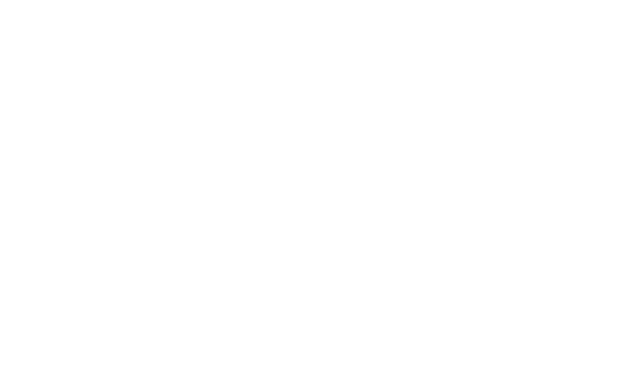 JAPAN AIRLINES